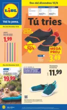 Bazar Lidl- Ofertas válidas del 08/06 al 14/06