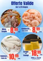 Polo Sud surgelati OFFERTE VALIDE DAL 1 AL 16 GIUGNO - al 16.06.2026