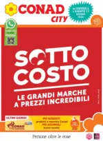 Conad Centro Nord Soc. Coop. Sottocosto - al 16.06.2026