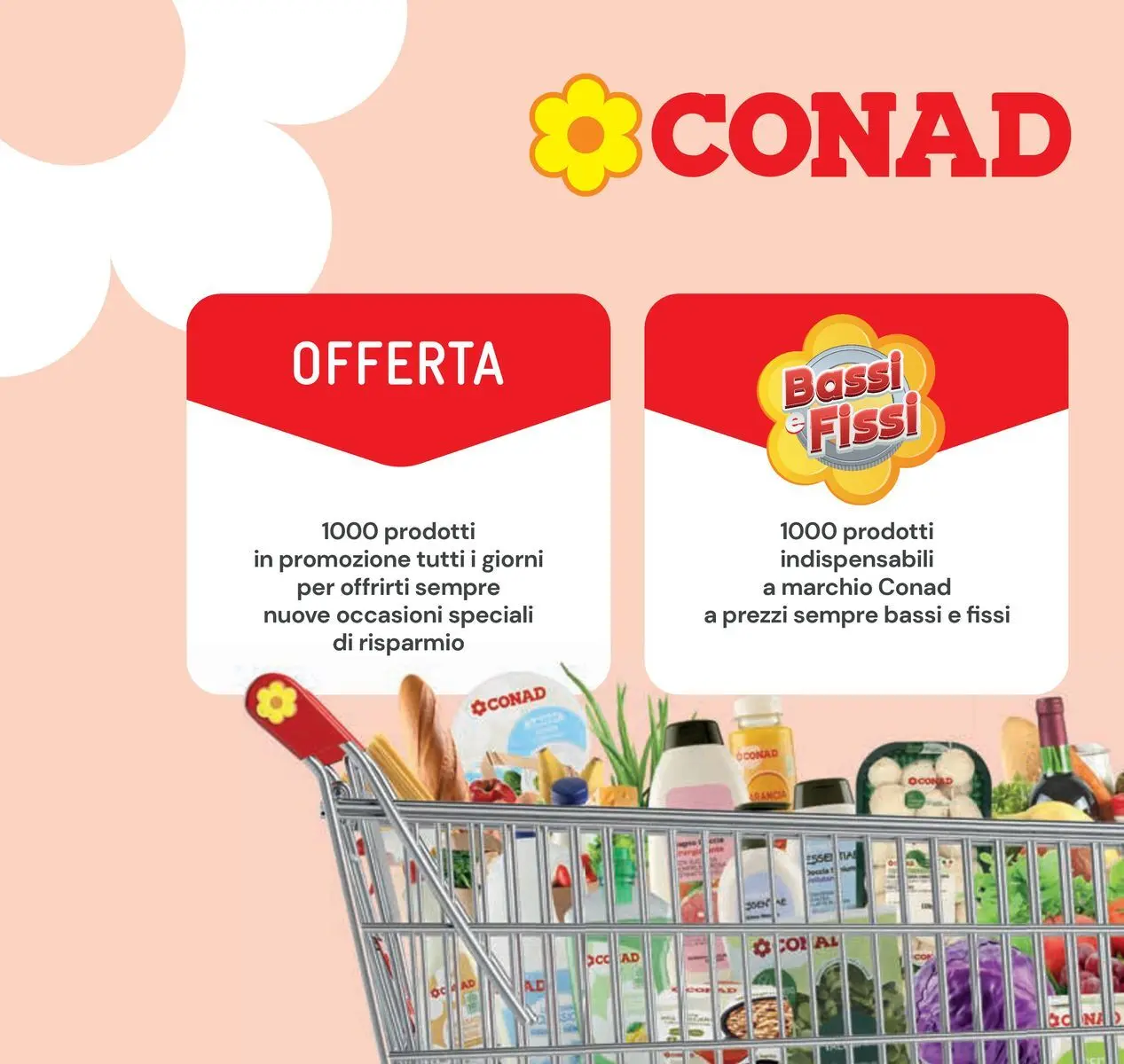 Volantino Conad dal 04/06/2026 > Anteprima | Pagina: 4