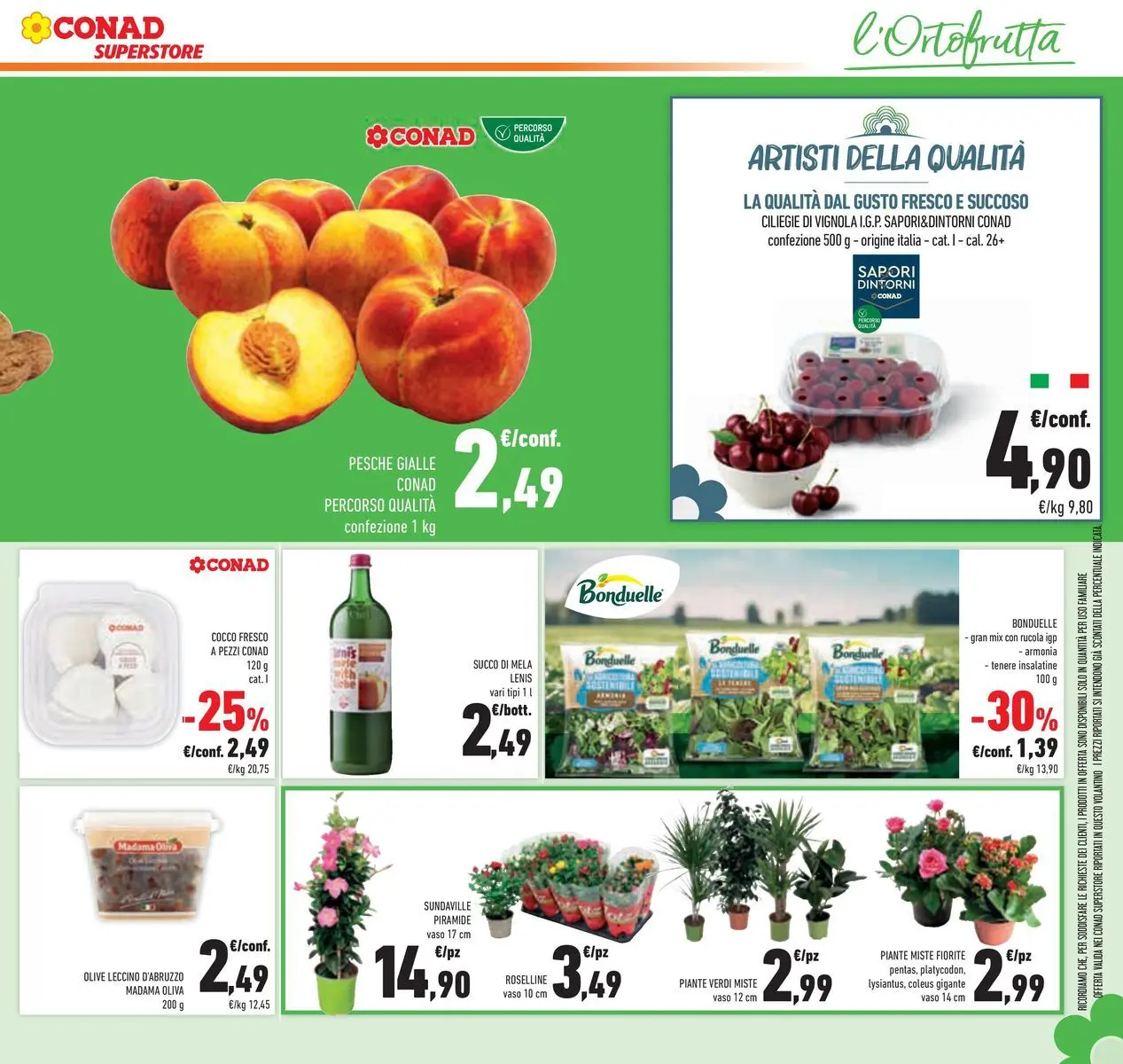 Volantino Conad dal 04/06/2026 > Anteprima | Pagina: 13 | Prodotti: Succo, Rucola, Olive, Cocco