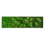 M&ouml;belix MOOSBILD Gr&uuml;n B: 140 cm