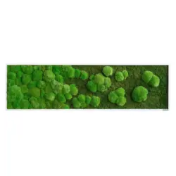 MOOSBILD Gr&uuml;n B: 140 cm