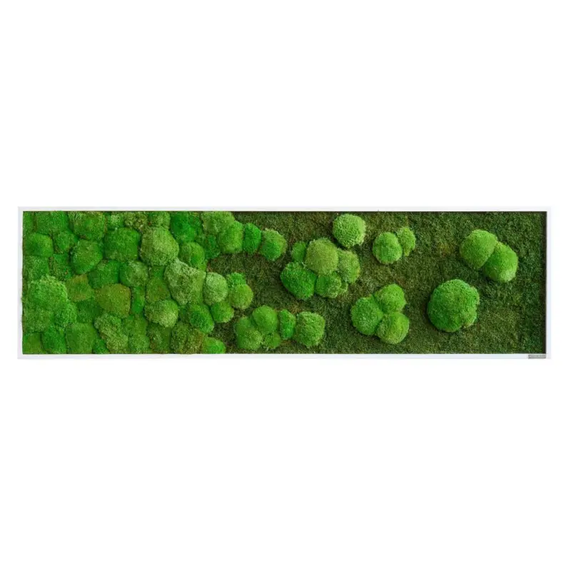 MOOSBILD Gr&uuml;n B: 140 cm