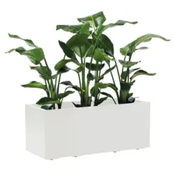 BLUMENKASTEN Wei&szlig; B: 99,5 cm