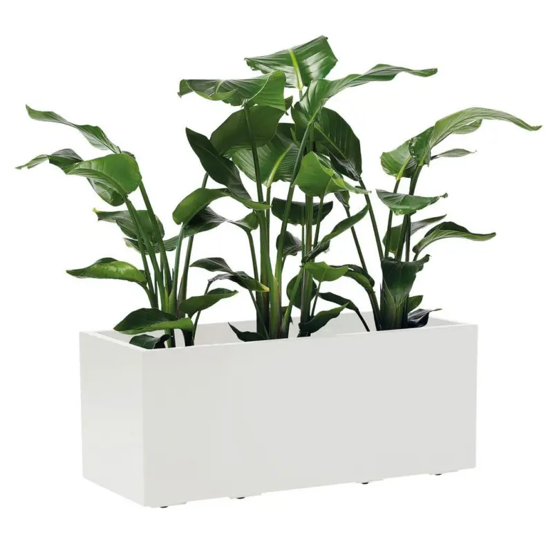 BLUMENKASTEN Wei&szlig; B: 99,5 cm