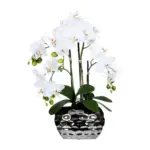 M&ouml;belix Kunstpflanze Orchidee H: 55 cm