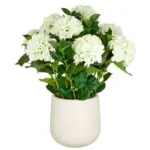 M&ouml;belix KUNSTPFLANZE Creme Gr&uuml;n B: 25 cm