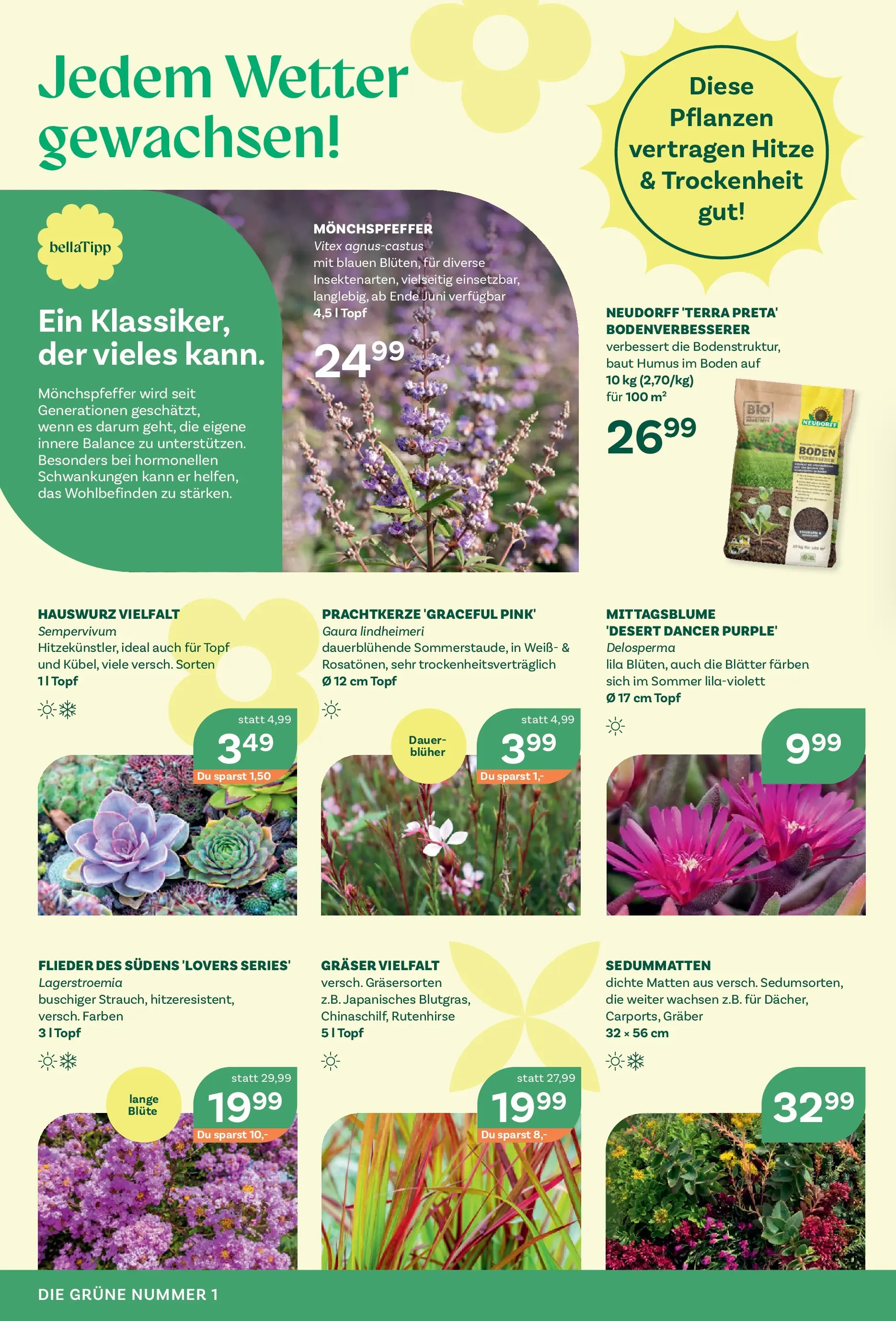 bellaflora Flugblatt von 05.06.2026 - Aktuelle Angebote | Seite: 2