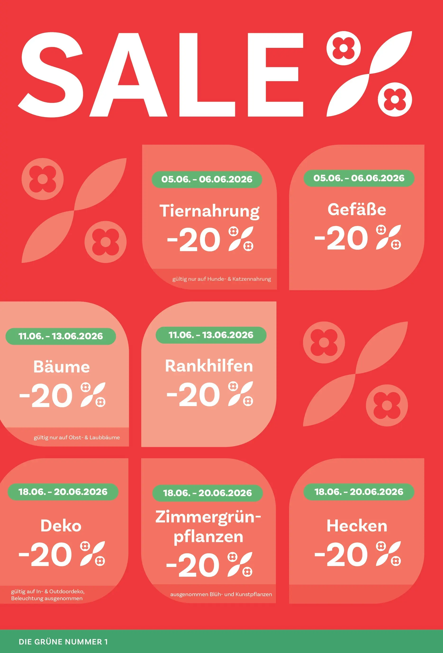 bellaflora Flugblatt von 05.06.2026 - Aktuelle Angebote | Seite: 6 | Produkte: Obst