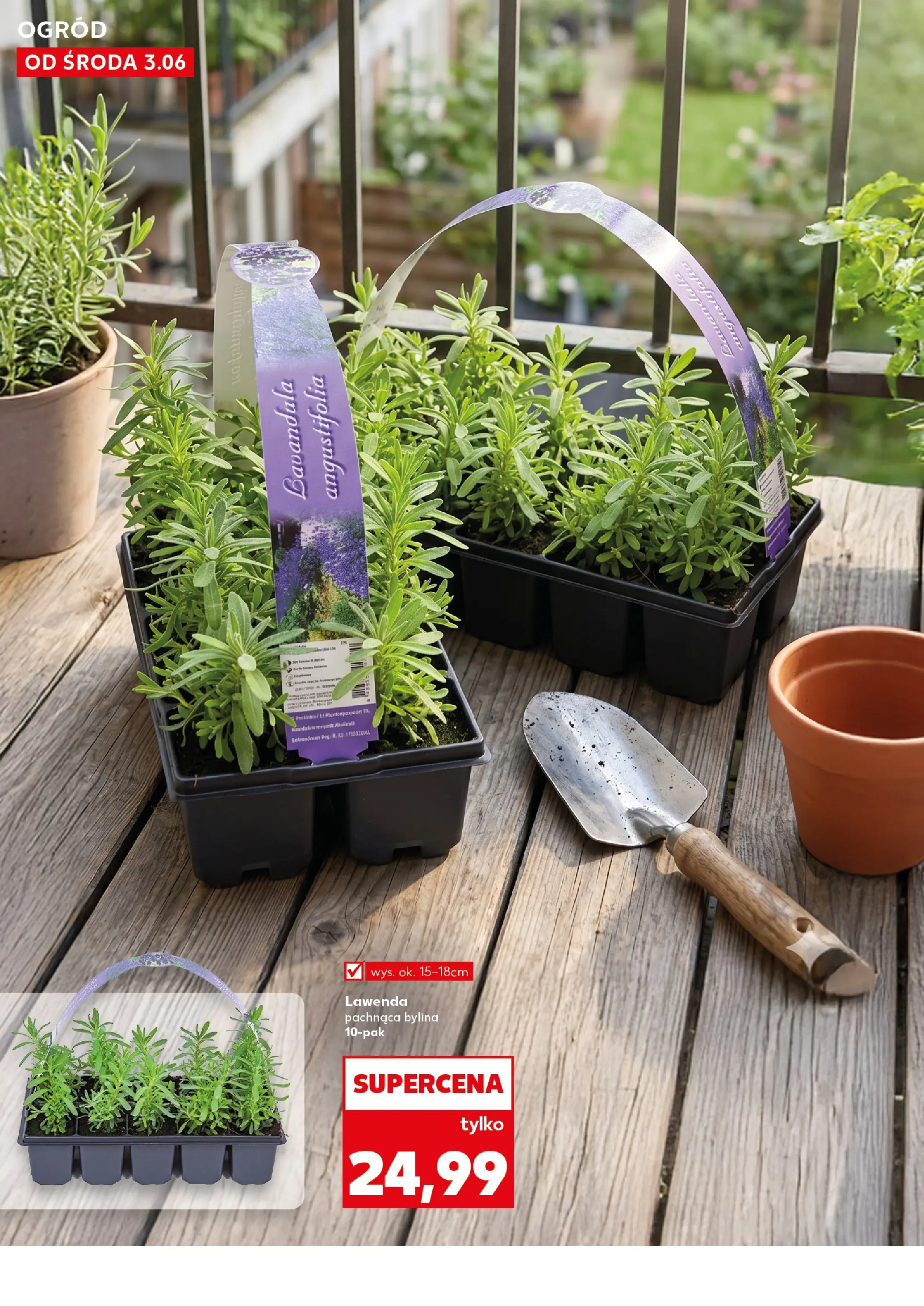 Kaufland gazetka - Ogród od 03.06.2026 - od jutra PDF | Strona: 10