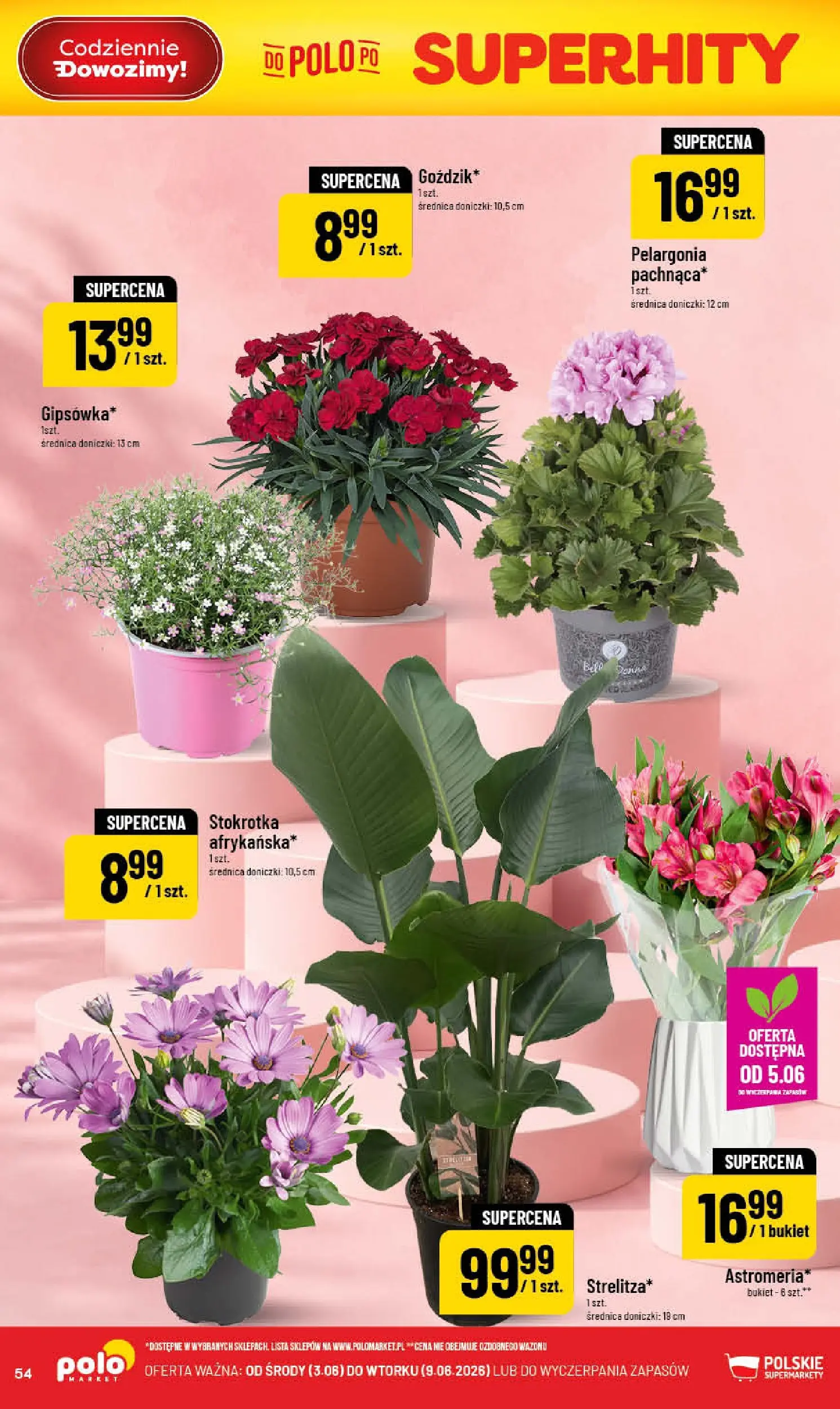 Nowa POLOmarket gazetka od jutra 03.06.2026 | Strona: 54