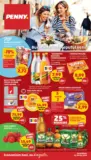 Catalog PENNY p&acirc;nă &icirc;n data de 09.06.2026