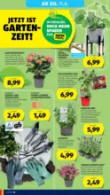 HOFER HOFER: Flugblatt - ab 05.06.2026