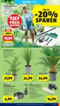 HOFER HOFER: Flugblatt - ab 05.06.2026