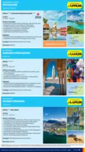 HOFER HOFER: Flugblatt - ab 05.06.2026