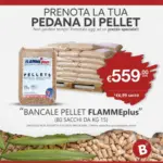 Bricocity Prenota la tua pedana di pellet - al 07.06.2026