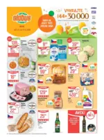 Globus 23 26 L1