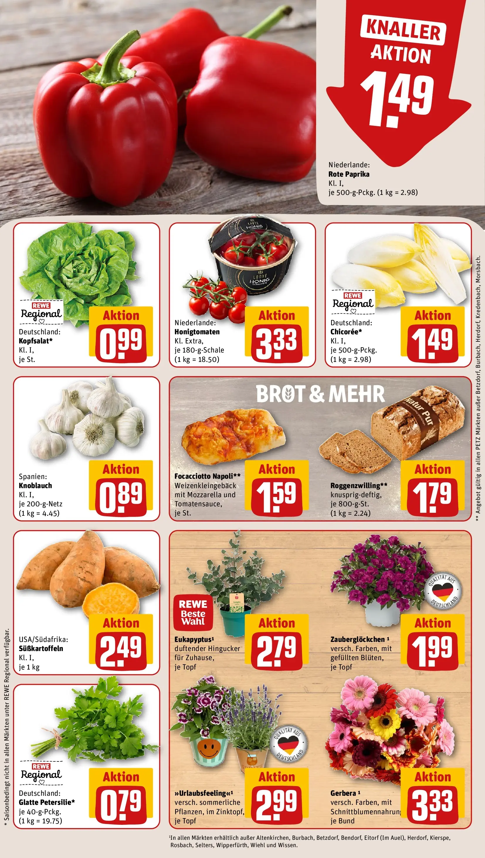 REWE Prospekt ab 08.06.2026 zum Blättern » Angebote | Seite: 9 | Produkte: Mozzarella, Paprika, Knoblauch, Brot
