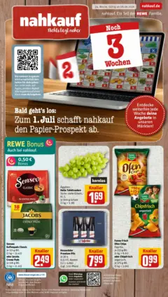 Rewe Prospekt Schneeberg ab 08.06.2026 gültig