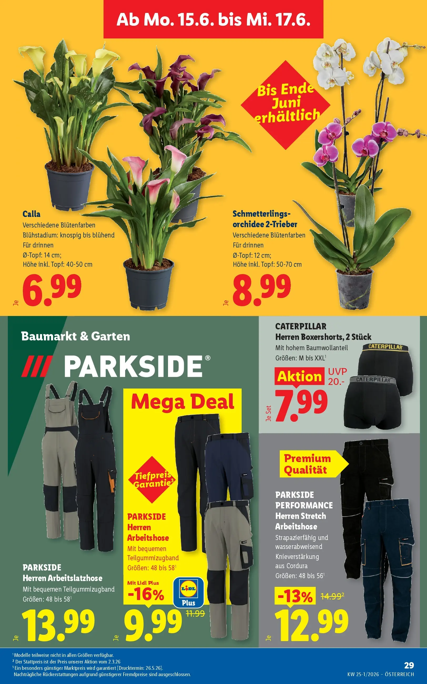 Lidl - Lidl ab 10.06.2026 - Angebote ab donnerstag | Seite: 36