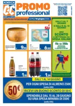 C+C Promo professional - al 14.06.2026