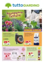 IFS s.r.l. Giugno-Luglio - al 31.07.2026