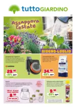 IFS s.r.l. Giugno-Luglio - al 31.07.2026
