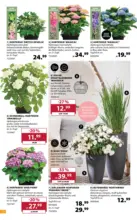 Dehner: Garten & Zoo