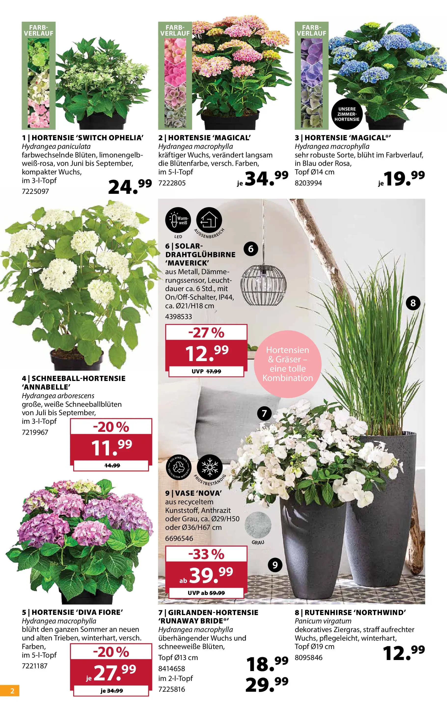 Dehner - Dehner: Garten & Zoo (ab 09.06.2026) zum Blättern | Seite: 2 | Produkte: Hortensie, Vase