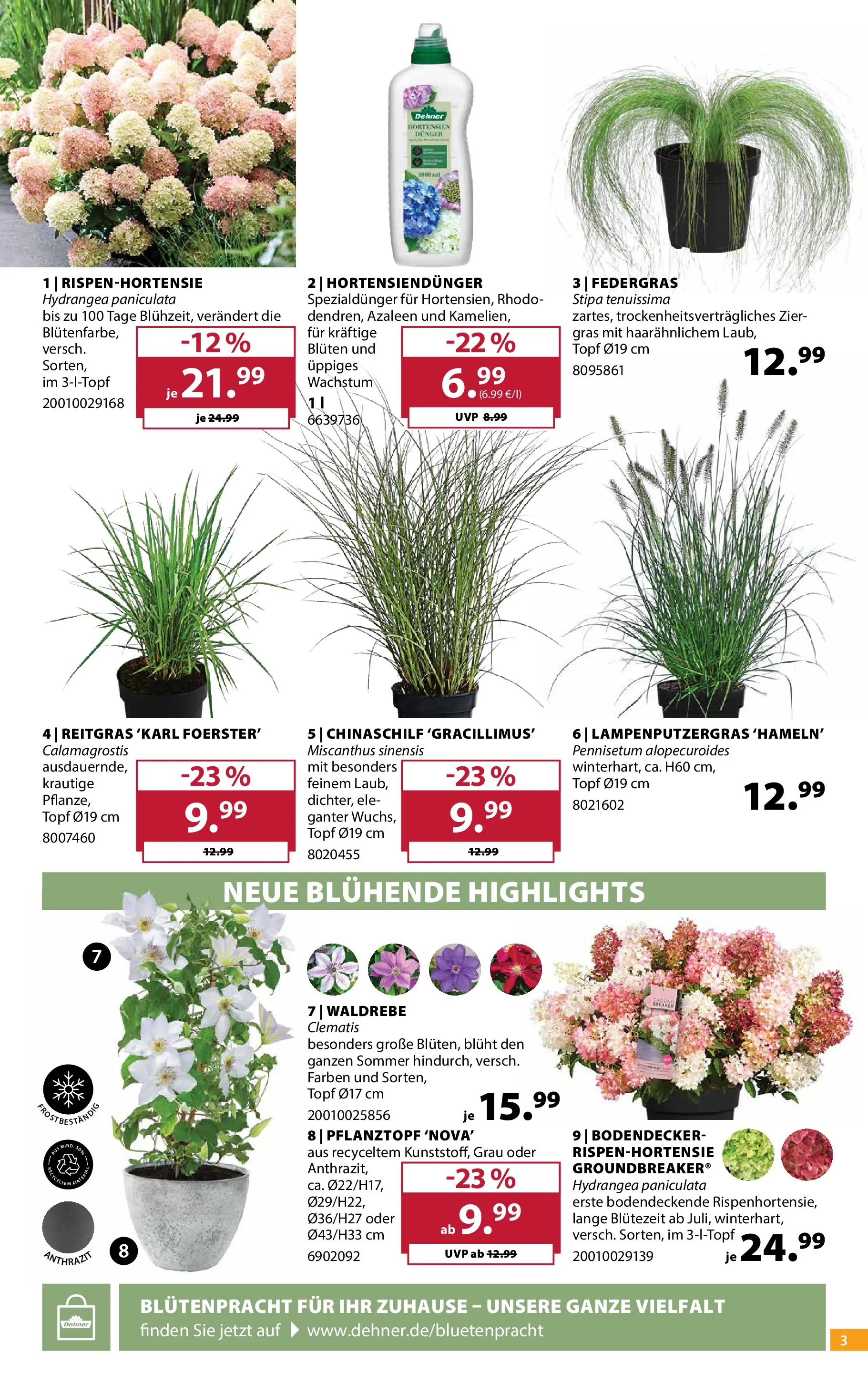 Dehner - Dehner: Garten & Zoo (ab 09.06.2026) zum Blättern | Seite: 3