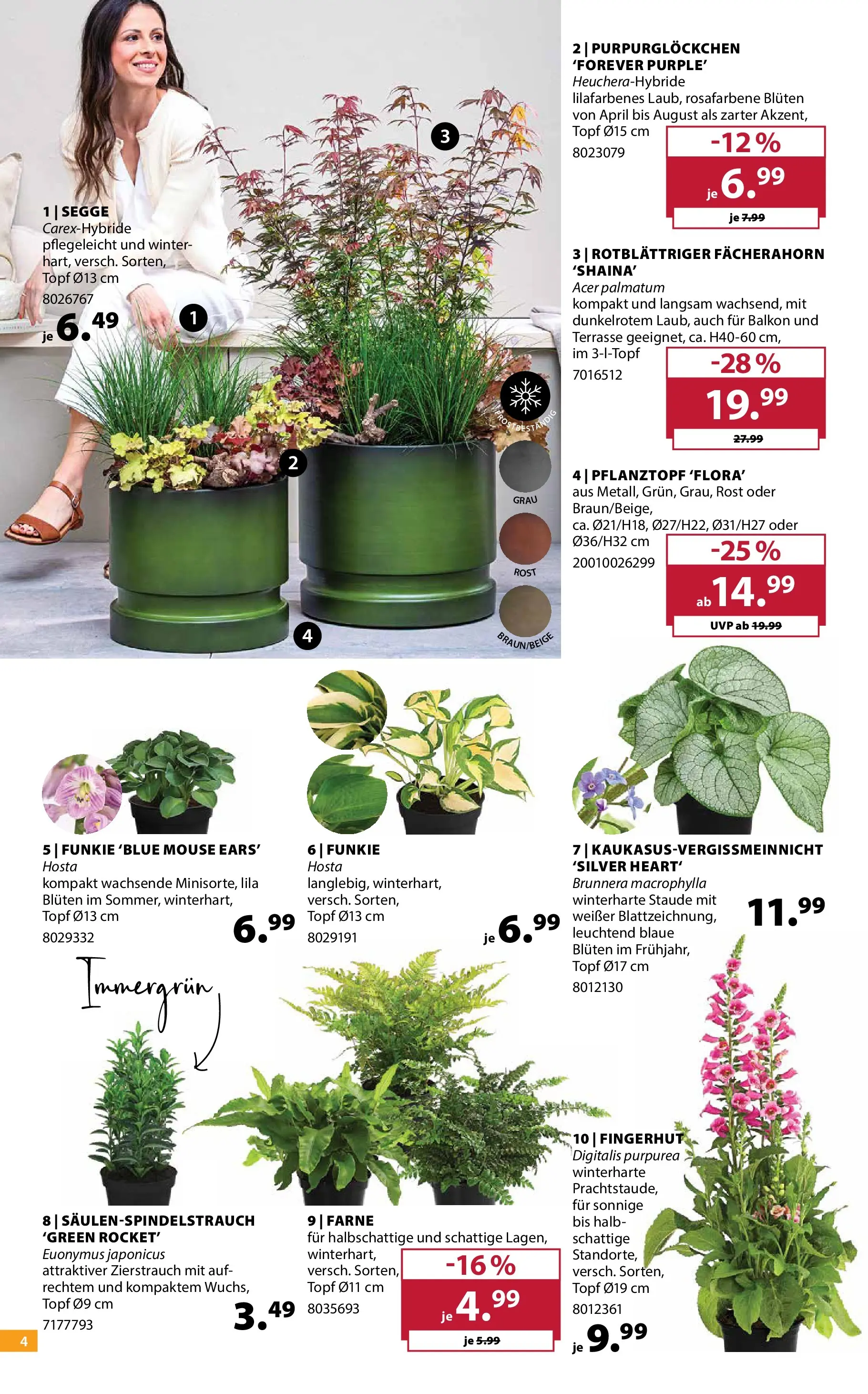 Dehner - Dehner: Garten & Zoo (ab 09.06.2026) zum Blättern | Seite: 4