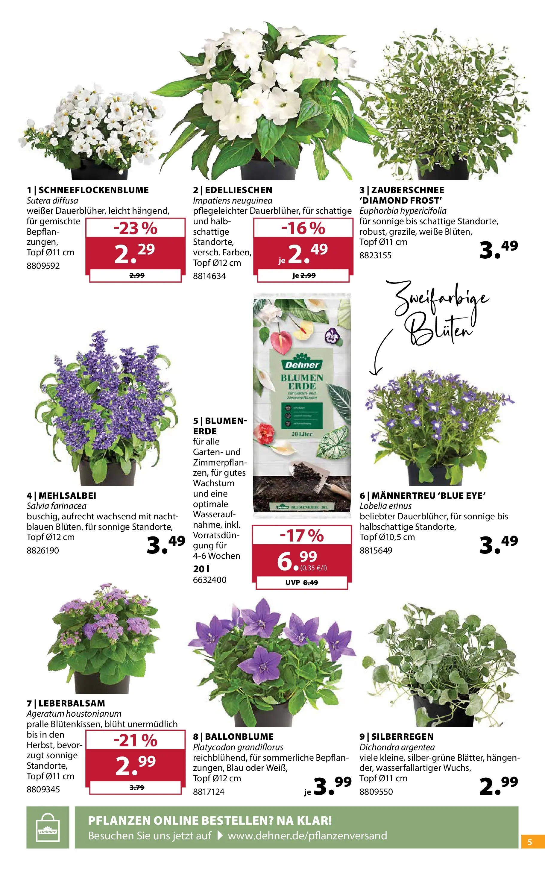 Dehner - Dehner: Garten & Zoo (ab 09.06.2026) zum Blättern | Seite: 5 | Produkte: Blumen