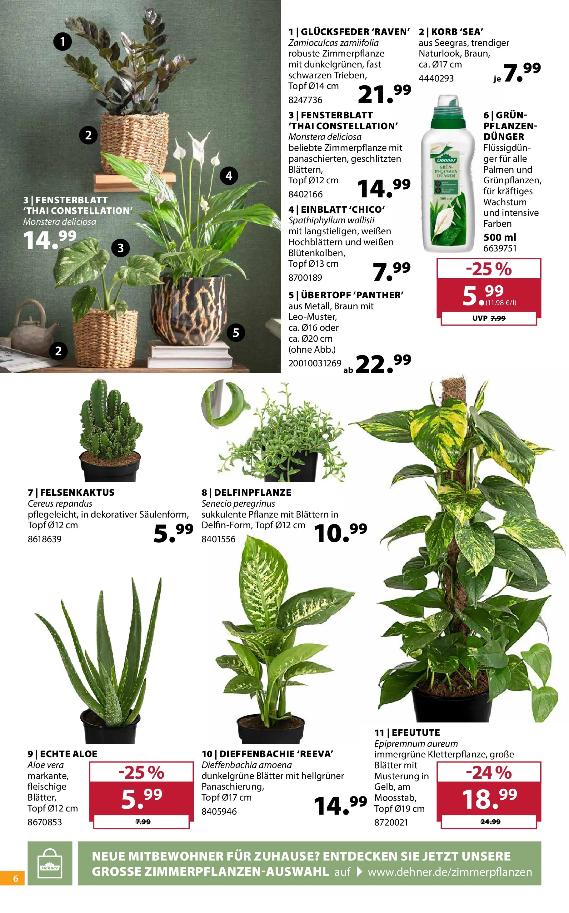 Dehner - Dehner: Garten & Zoo (ab 09.06.2026) zum Blättern | Seite: 6