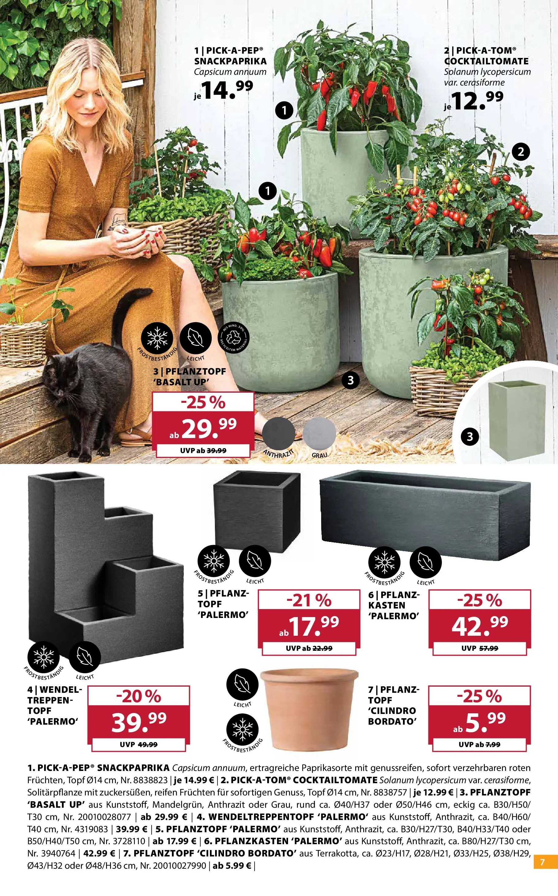 Dehner - Dehner: Garten & Zoo (ab 09.06.2026) zum Blättern | Seite: 7