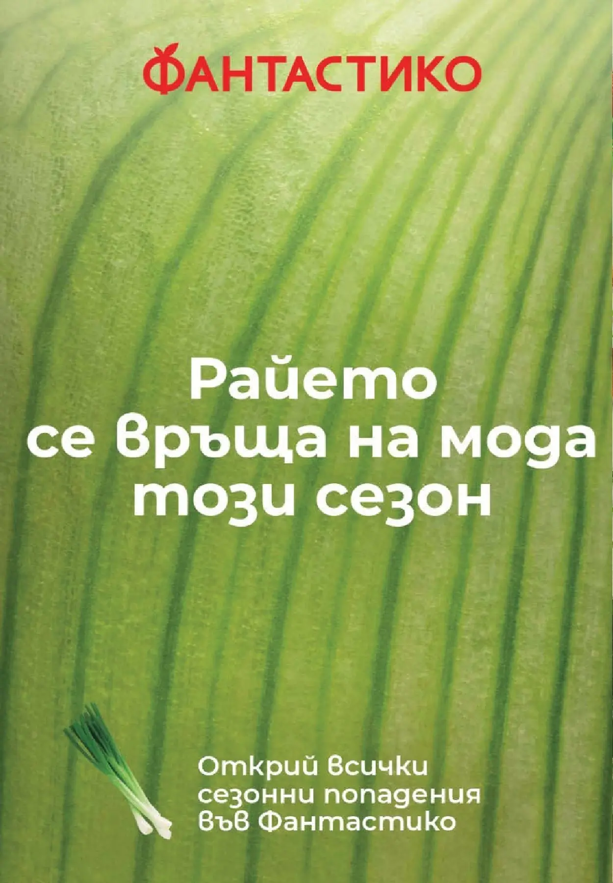 Нова Фантастико брошура - Седмични предложения от 04.06.2026 | Страница: 6