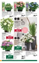 Dehner Hohenems Dehner: Garten & Zoo - bis 15.06.2026