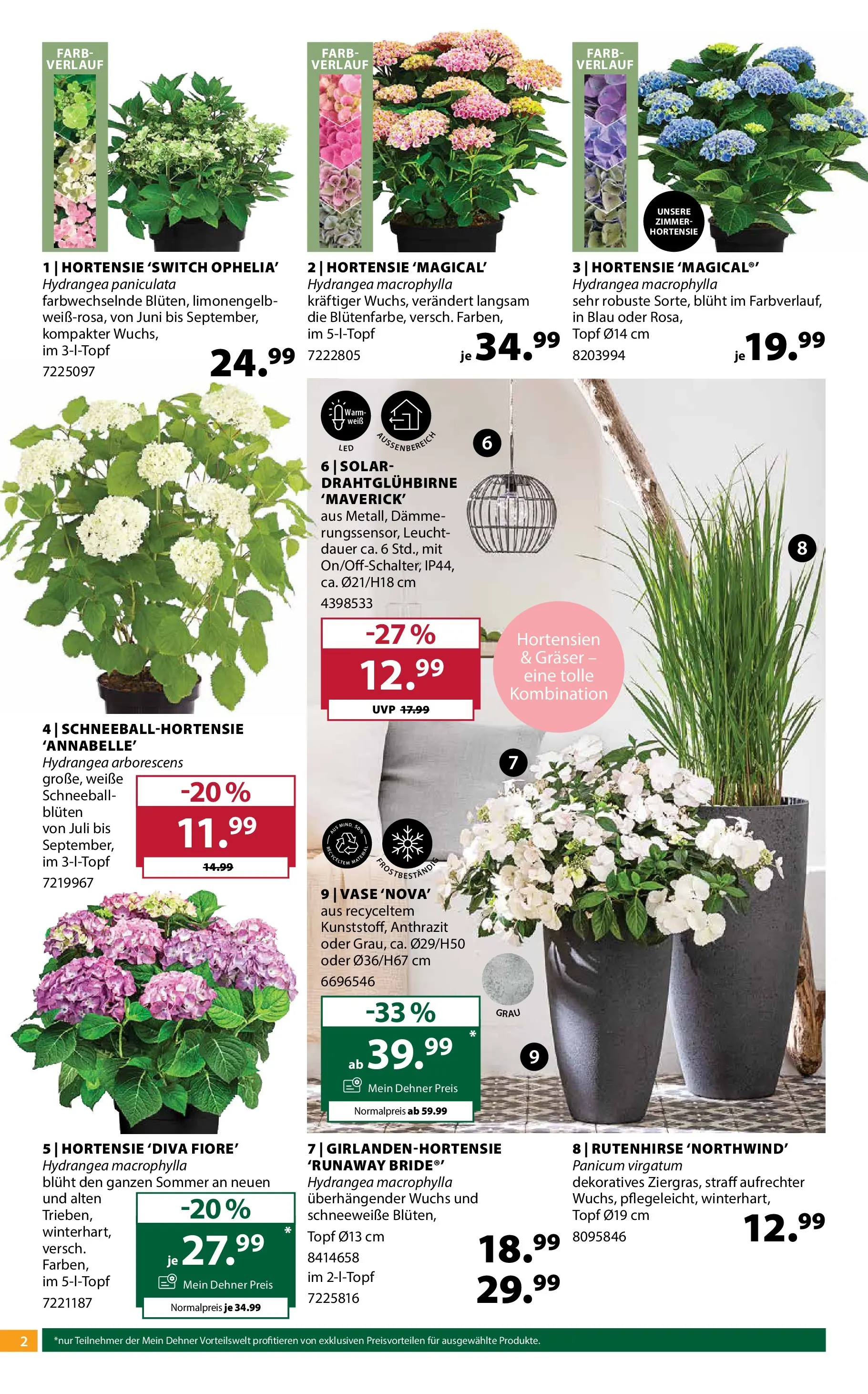 Dehner - Dehner: Garten & Zoo von 09.06.2026 - Aktuelle Angebote | Seite: 2 | Produkte: Vase
