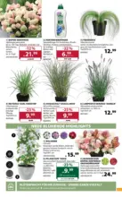 Dehner Hohenems Dehner: Garten & Zoo - bis 15.06.2026