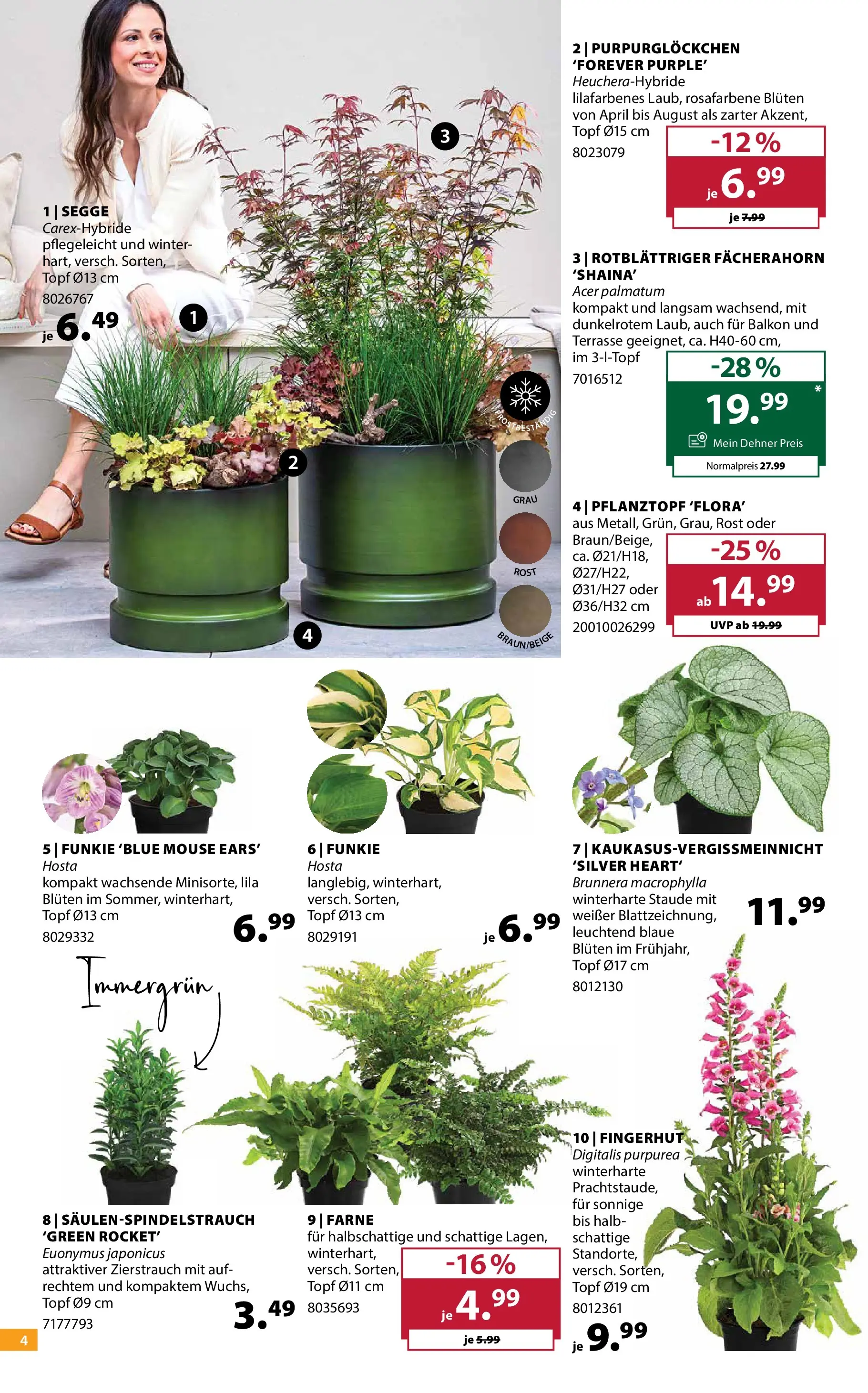Dehner - Dehner: Garten & Zoo von 09.06.2026 - Aktuelle Angebote | Seite: 4
