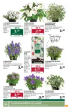 Dehner Hohenems Dehner: Garten & Zoo - bis 15.06.2026