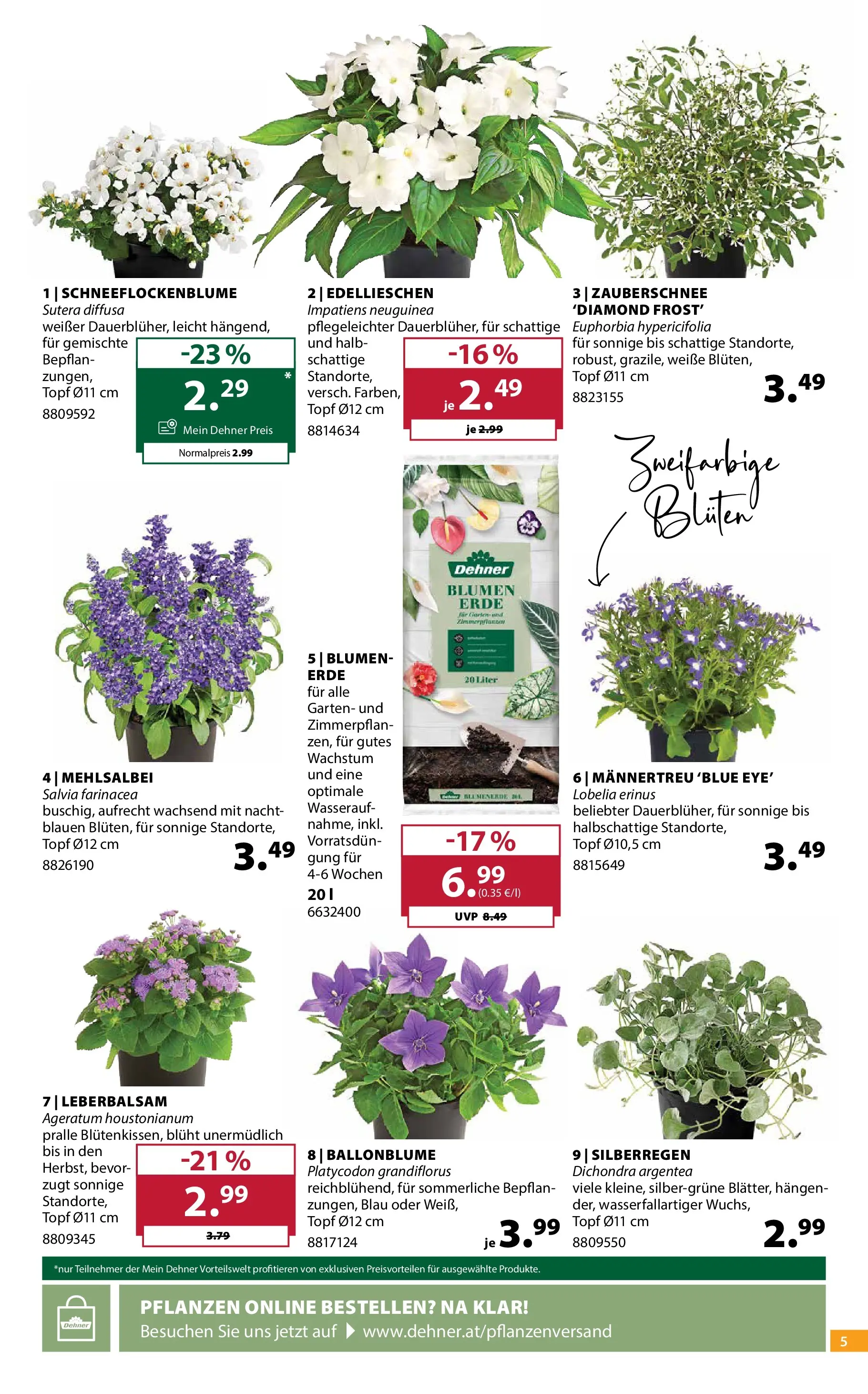 Dehner - Dehner: Garten & Zoo von 09.06.2026 - Aktuelle Angebote | Seite: 5
