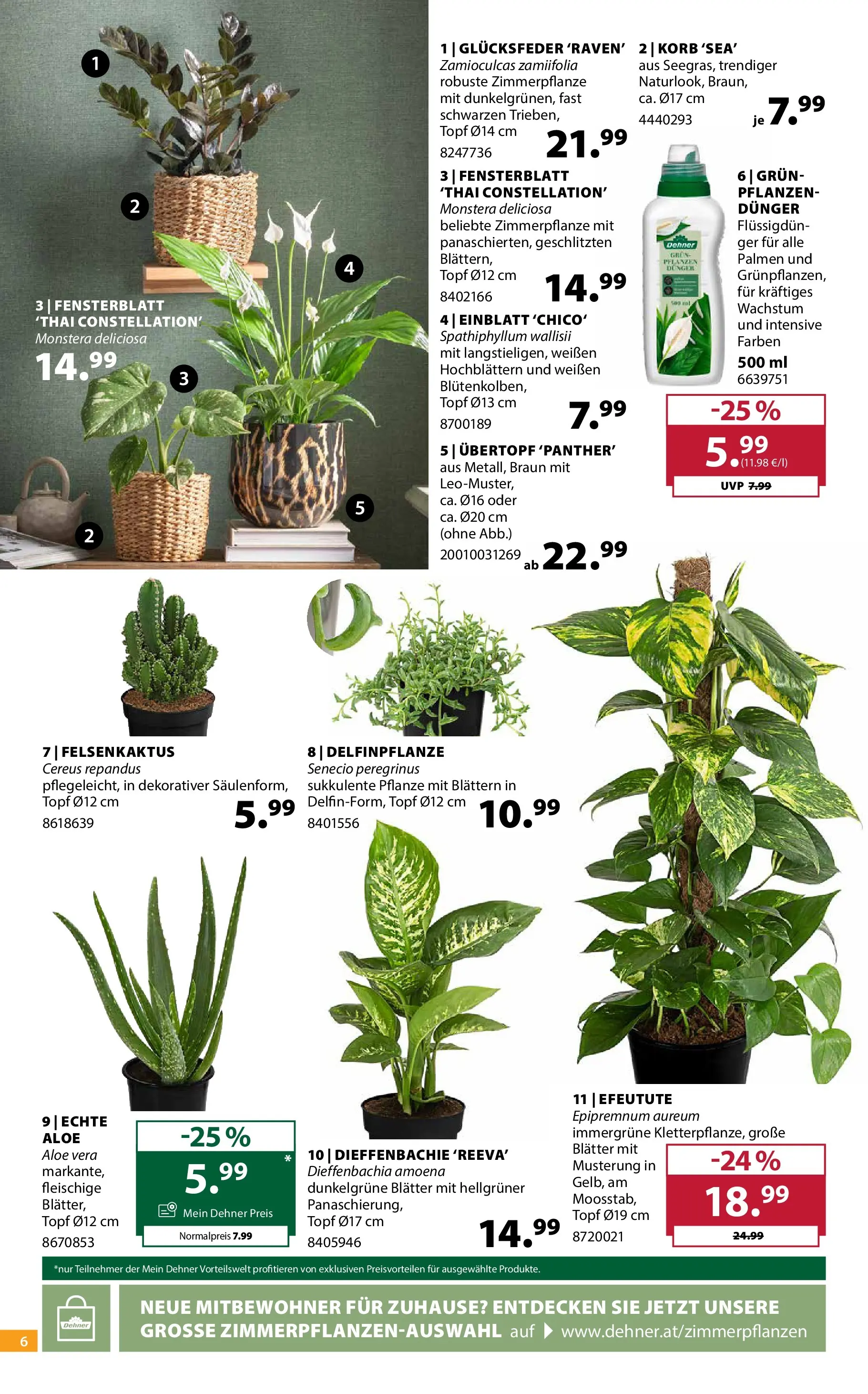 Dehner - Dehner: Garten & Zoo von 09.06.2026 - Aktuelle Angebote | Seite: 6 | Produkte: Korb