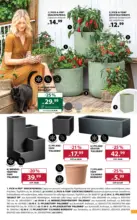 Dehner Hohenems Dehner: Garten & Zoo - bis 15.06.2026