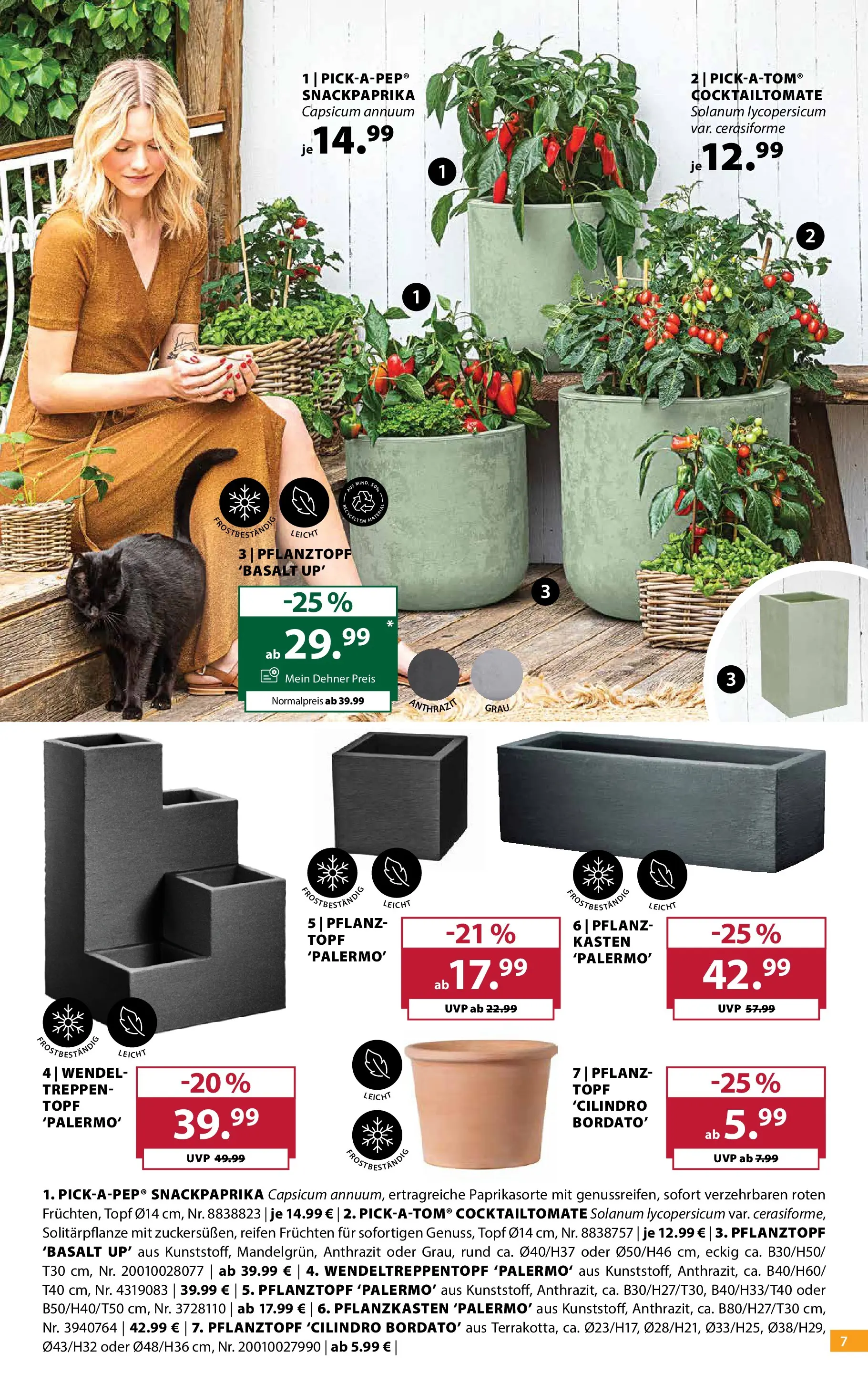 Dehner - Dehner: Garten & Zoo von 09.06.2026 - Aktuelle Angebote | Seite: 7