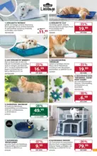 Dehner Hohenems Dehner: Garten & Zoo - bis 15.06.2026