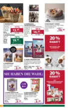 Dehner Hohenems Dehner: Garten & Zoo - bis 15.06.2026