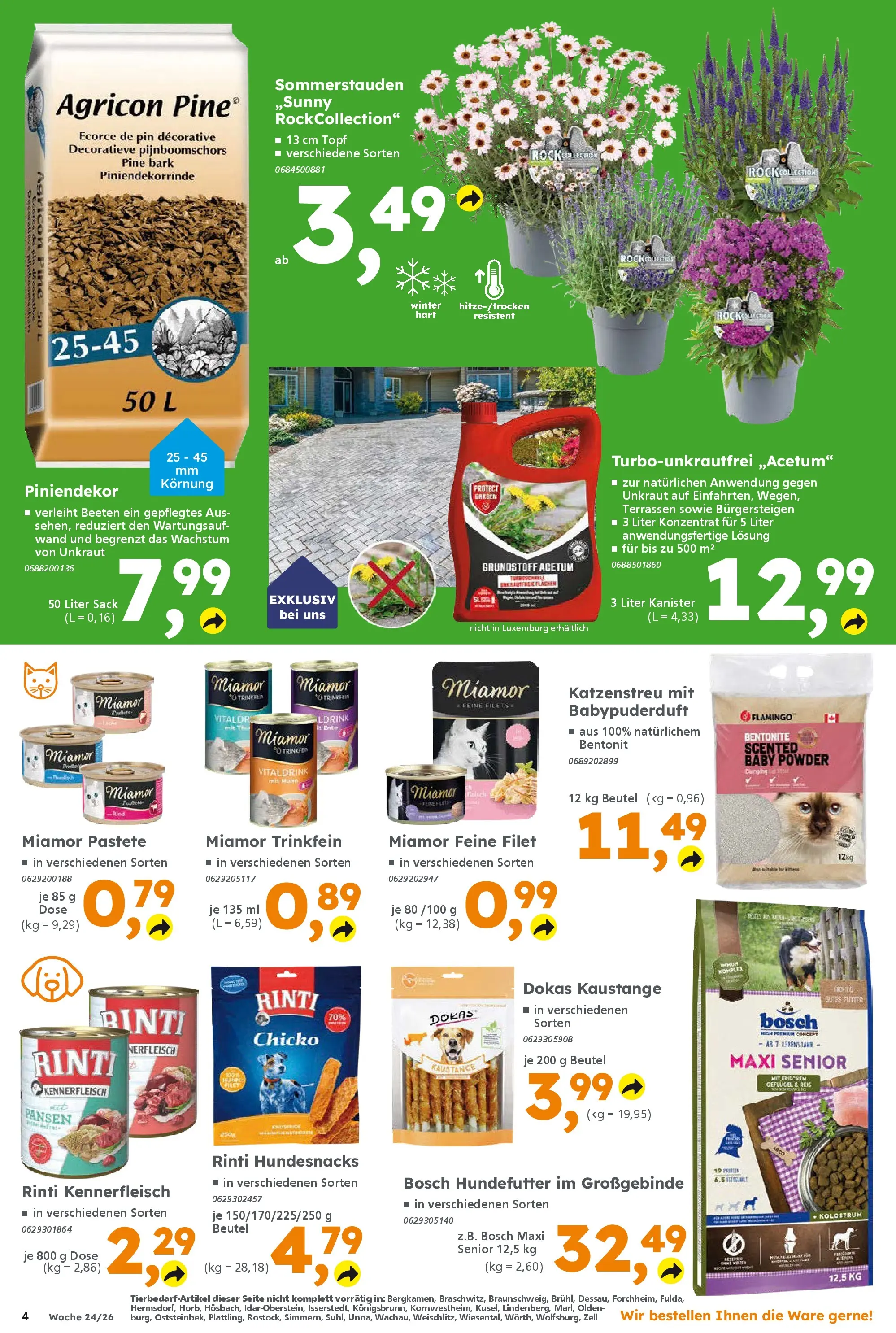Globus Baumarkt Prospekt Königsbrunn (ab 08.06.2026) zum Blättern | Seite: 4 | Produkte: Bosch