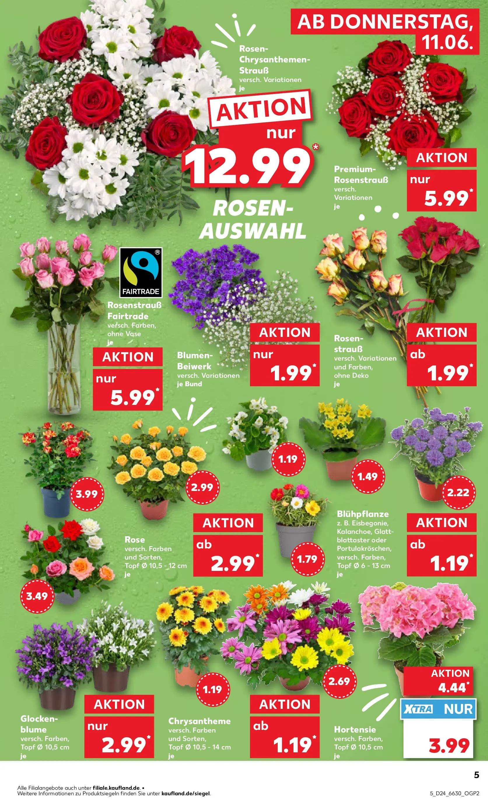 Prospekt Kaufland ab 11.06.2026 » Angebote Online zum Blättern | Seite: 5 | Produkte: Hortensie, Blumen, Vase