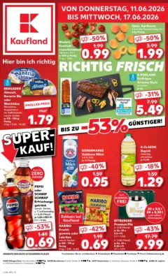 Kaufland Prospekt Dillingen ab 11.06.2026 gültig Kaufland Prospekt Dillingen ab 11.06.2026 gültig